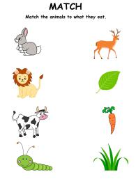 Animals and Their Food Matching Activity