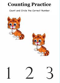 Circle the Correct Number up to 3