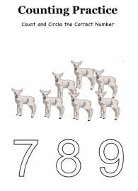 Circle the Correct Number up to 9