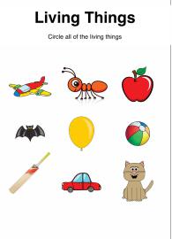 Circle the Living Things