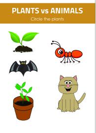 Circle the Plants