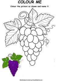 Art And Craft Worksheet: Colour Me - Grapes Coloring Pages Worksheet