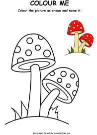 Art And Craft Worksheet: Colour Me - Mushroom Coloring Pages Worksheet