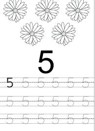 Count and Trace 5 - Number Tracing