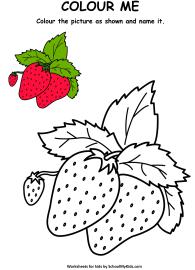 Fruit Strawberry Coloring Page