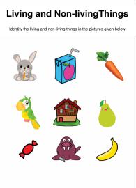Identify Living and Non-Living Things