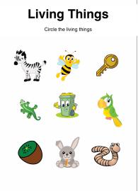 Identify Living Things