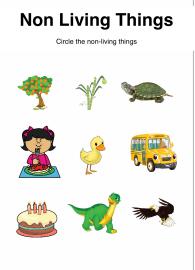 Identify Non-Living Things
