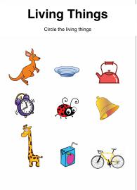 Identifying Things That Grow - Living Things