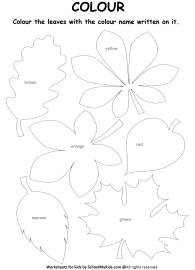 General Awareness Worksheet: Know the Colors - Color the leaves Worksheet