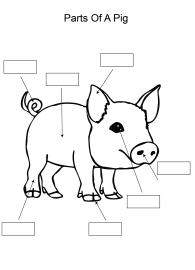 Label and color the parts of a Pig
