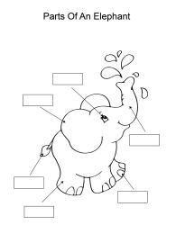 Label and color the parts of an Elephant