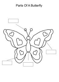 Science Worksheet: Label and color the parts of Butterfly Worksheet