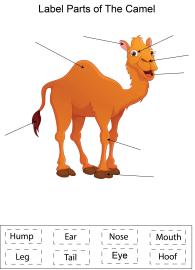 Label parts of the Camel