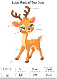 Label parts of the Deer