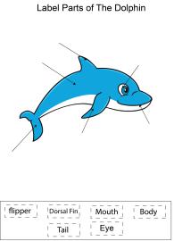 Label parts of the Dolphin