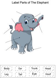 Label parts of the Elephant