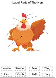 Label parts of the Hen