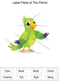 Label parts of the Parrot