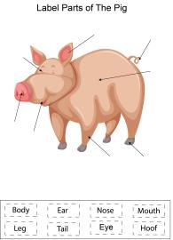 Label parts of the Pig