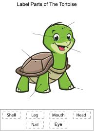 Label parts of the Tortoise