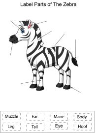 Label parts of the Zebra