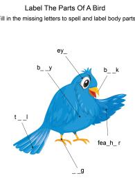 Labeling the parts of a Bird - Bird body parts fill in the blanks