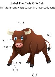 Labeling the parts of a Bull - Bull body parts fill in the blanks