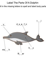 Labeling the parts of a Dolphin - Dolphin body parts fill in the blanks