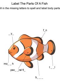 Labeling the parts of a Fish - Fish body parts fill in the blanks