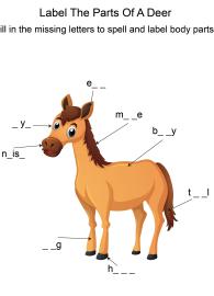 Labeling the parts of a Horse - Horse body parts fill in the blanks