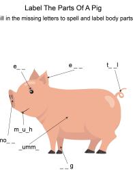 Labeling the parts of a Pig - Pig body parts fill in the blanks