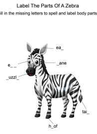 Labeling the parts of a Zebra - Zebra body parts fill in the blanks