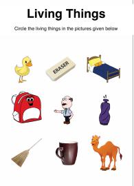 Living Or Non-Living Things