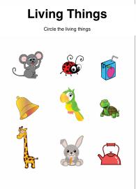 Living Things