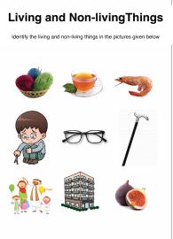 Living Vs Non-Living Things