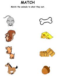 Match Animals To Their Food