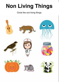 Non-Living Things