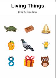 What Are Living Things?