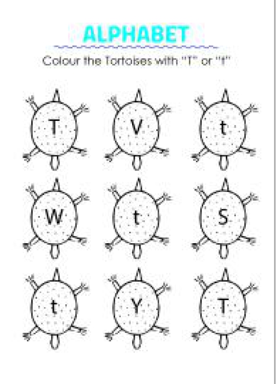 Art And Craft Worksheet: Color the Tortoises with T - Capital and Small Letter Identification Worksheet