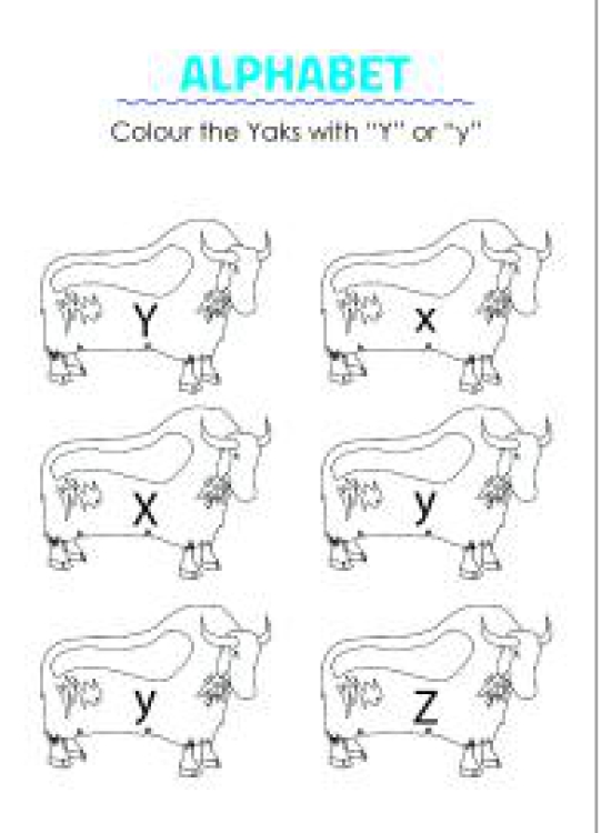 Art And Craft Worksheet: Color the Yaks with Y - Capital and Small Letter Identification Worksheet