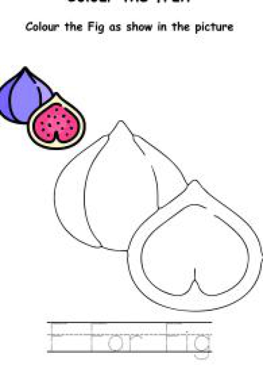 Art And Craft Worksheet: Colour the Fruits - Fig Coloring Worksheet