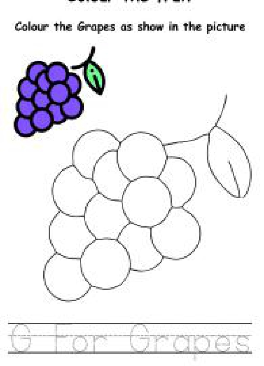 Art And Craft Worksheet: Colour the Fruits - Grapes Coloring Worksheet