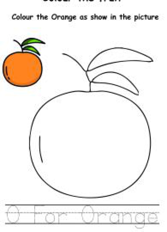 Art And Craft Worksheet: Colour the Fruits - Orange Coloring Worksheet