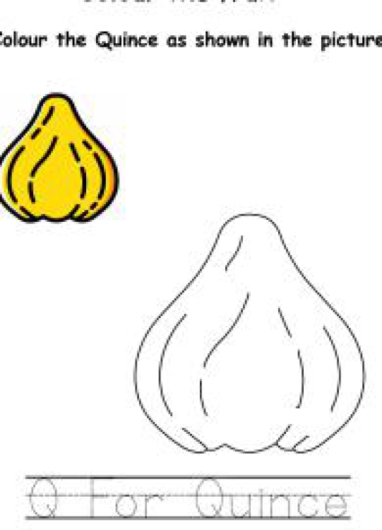 Art And Craft Worksheet: Colour the Fruits - Quince Coloring Worksheet