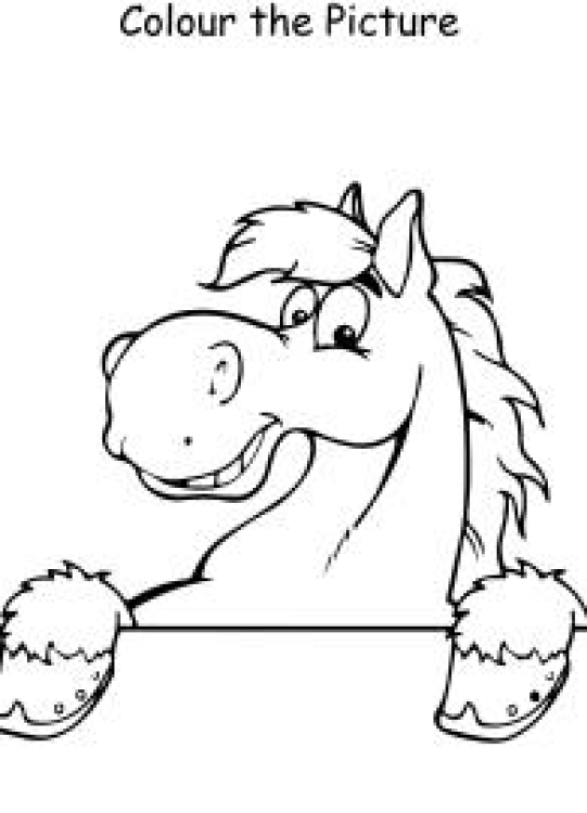 Art And Craft Worksheet: Colour the Picture - Horse Head - Coloring Pages Worksheet