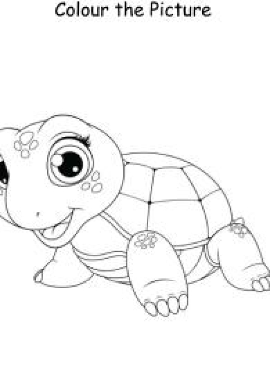 Art And Craft Worksheet: Colour the Picture - Tortoise - Coloring Pages Worksheet