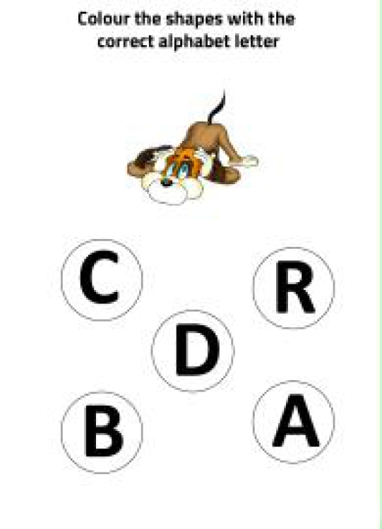 English Worksheet: D for Dog - Practice Beginning Letter Worksheet