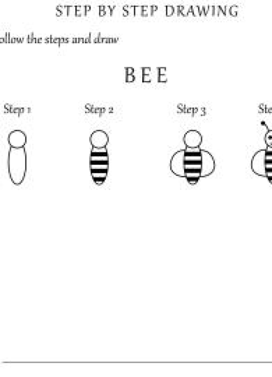 Art And Craft Worksheet: How to Draw a Bee - Step by Step Drawing Worksheet