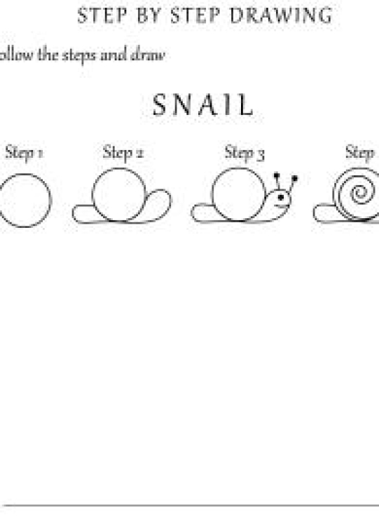 Art And Craft Worksheet: How to Draw a Snail - Step by Step Drawing Worksheet